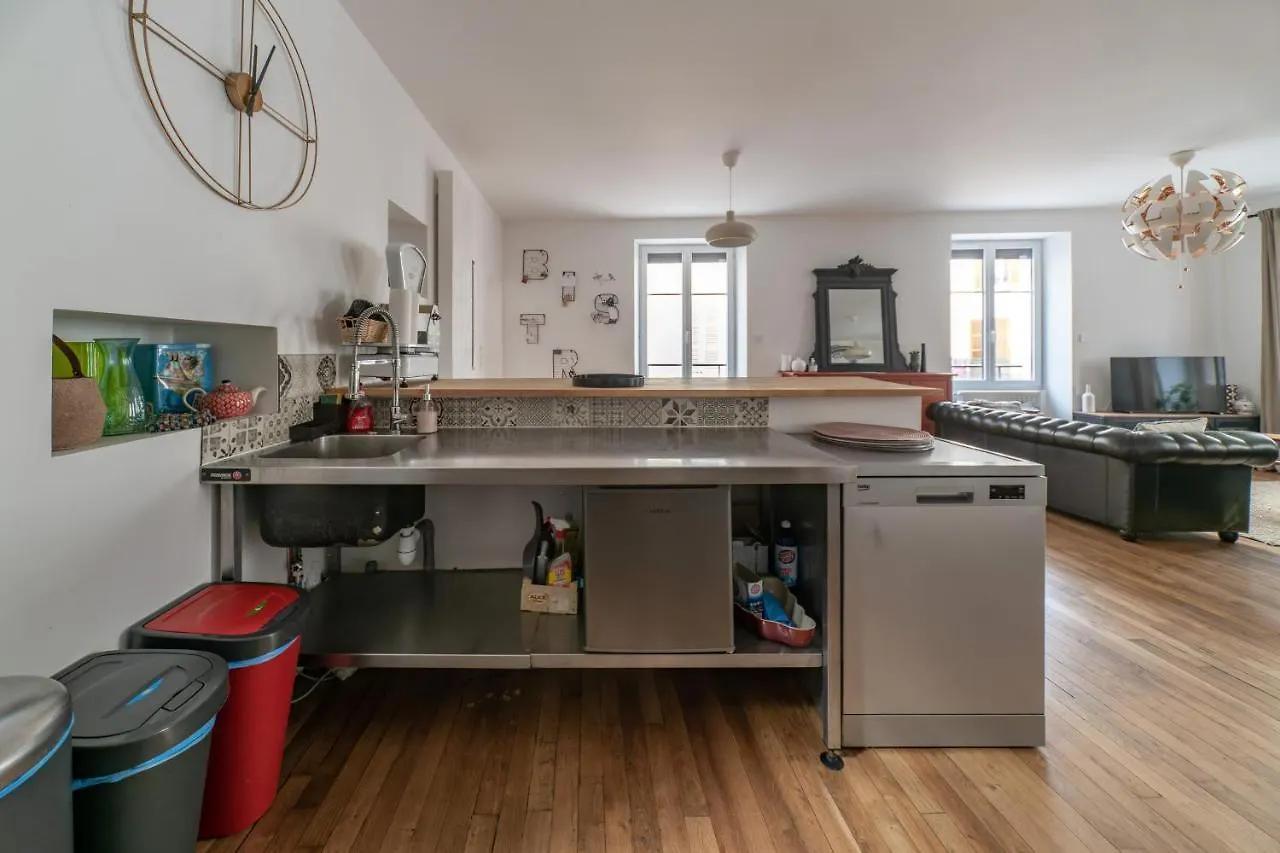 Apartment Grande Maison Vichy - Maison Ou Appartements En Centre Ville